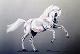 03 - Wendy Britton - White Stallion - Pastel on Parchment.jpg